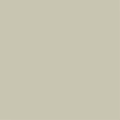 Cool gray color plane, consistent surface, subtle green undertones, diffused lighting, neutral composition, miniforms fenix grigio efeso palette.